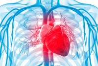 Las enfermedades isquémicas del corazón tienen mayor impacto en el Ecuador, mucho más que el Covid-19
