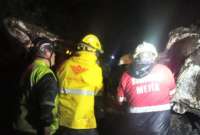 Una persona perdió la vida tras la caída de un árbol en la vía Alóag - Unión del Toachi